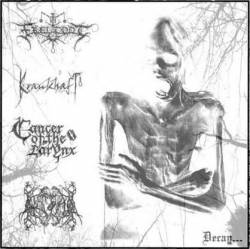 Torcularis Septemtrionalis : Decay